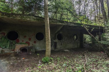 Ormandaki eski açık havuzu