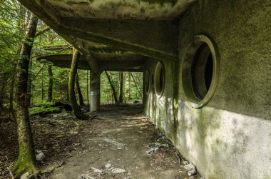 ormanda terkedilmiş açık havuzu