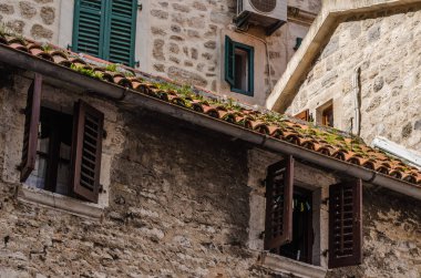 kotor bitkilerde çatı
