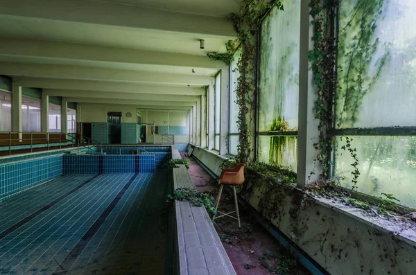 Piscina abbandonata con piante — Foto Stock