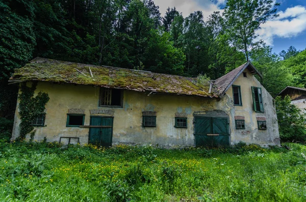 Vecchia casa nella foresta con muschio — Foto Stock