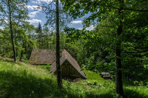 Casa del bosque en las montañas — Foto de Stock