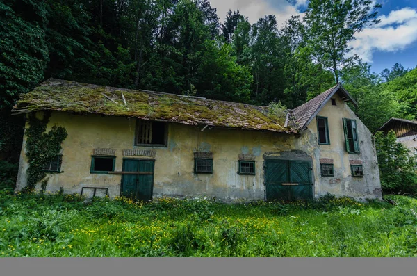 Старий будинок в лісі з мохом — стокове фото