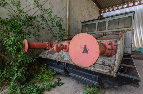 Tampões ferroviários e rosa — Fotografia de Stock