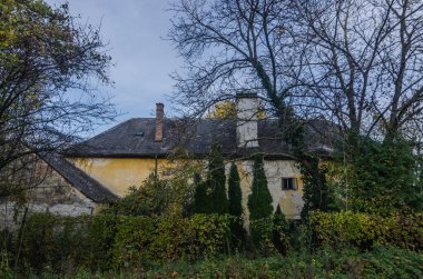 Ormanın kenarında terk edilmiş eski bir ev.