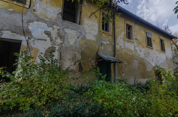 Edificio nella foresta con arbusti — Foto Stock