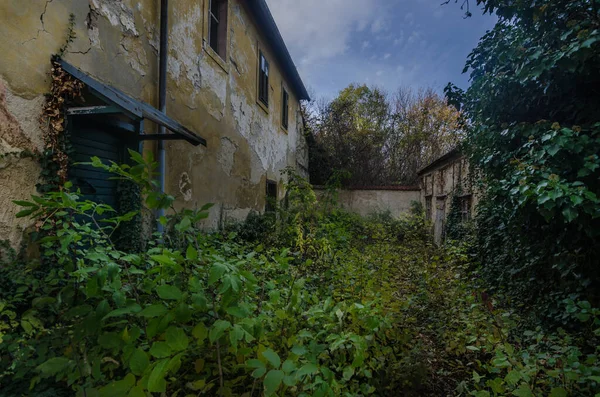 Überwucherte Gebäude im Wald — Stockfoto