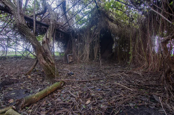 Velha estufa abandonada — Fotografia de Stock