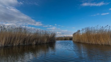 Gölde kamışlı su yolu ve mavi gökyüzü
