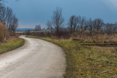 Doğal manzarada kıvrımlı yollar
