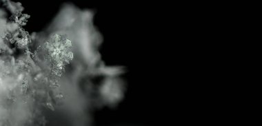 Güzel, siyah kar kristali