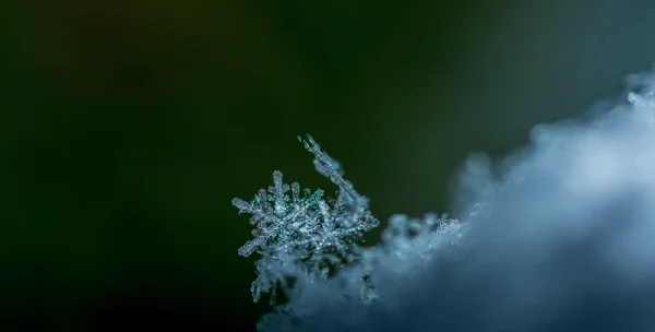 Único cristal de neve brilhante — Fotografia de Stock