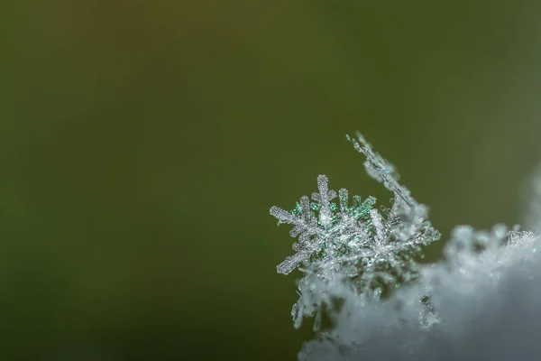 Détail unique cristal de neige scintillant — Photo