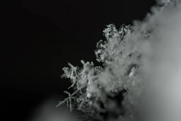 Снежные кристаллы на черном фоне — стоковое фото