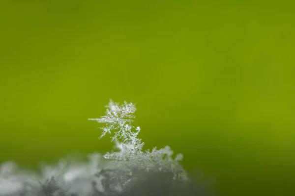 Кристалл снега на зеленом фоне — стоковое фото