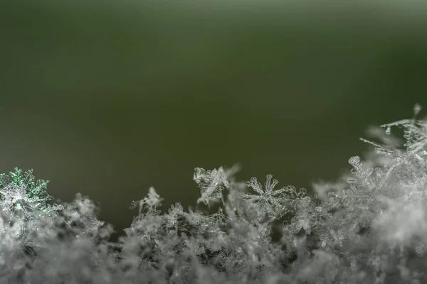 许多漂亮的雪晶 — 图库照片