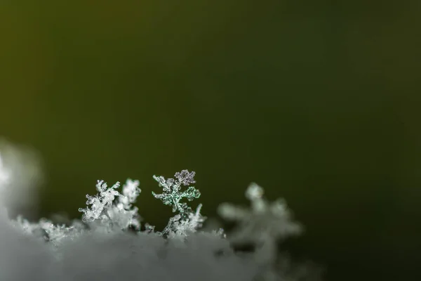 Snow with crystals and green background — Stock Photo, Image