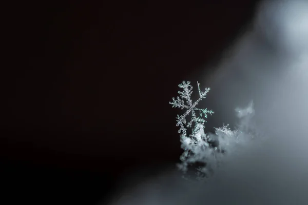 不等雪晶和黑色 — 图库照片