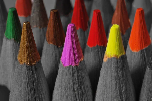 Crayons colorés et gris — Photo