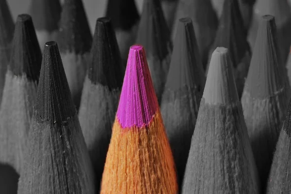 Jeden barevný hrot tužky — Stock fotografie