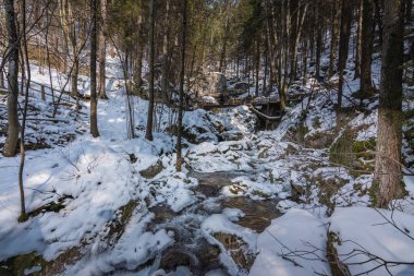 Kışın su ve karla nemli.