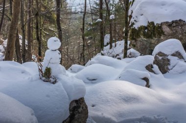 Dağlarda ve karlarda küçük kardan adam