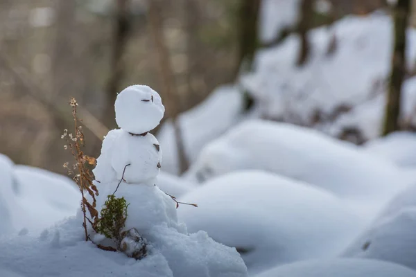 Pequeno boneco de neve no inverno — Fotografia de Stock