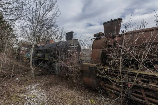 Vieux trains abandonnés dans la forêt — Photo
