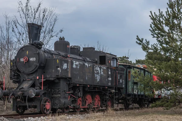 Паровой локомотив с универсалом в природе — стоковое фото