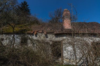 Çatısı yosun kaplı, büyümüş bir ev.