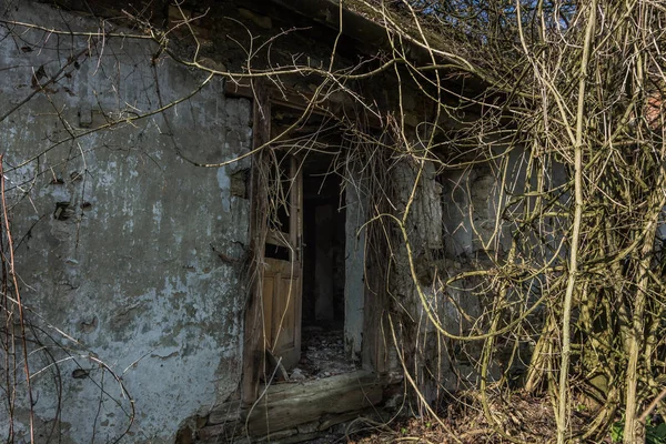 Öppen ingång till ett övervuxet hus i fjällen — Stockfoto