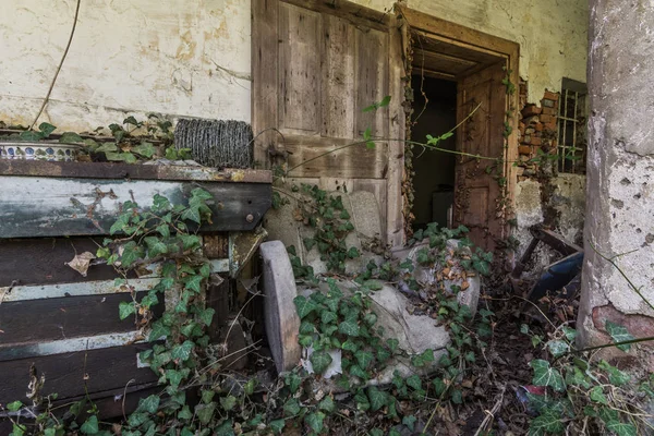 Entrance with overgrown armchair — ストック写真