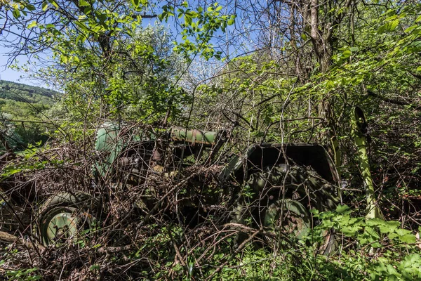 Green overgrown tractor in the forest — Stock Photo, Image