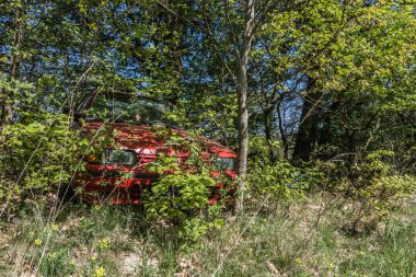 Ağaçlar arasında kırmızı erimiş araba.
