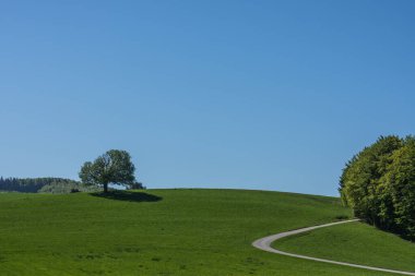 Baharda mavi gökyüzü olan yeşil dağ manzarası