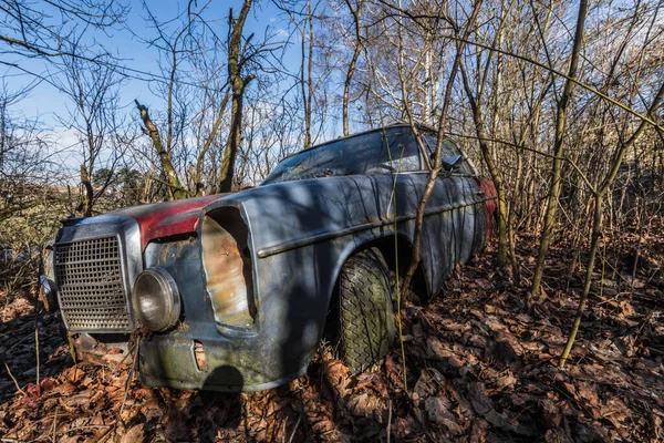 Rusty Mercedes Car Overgrown Garden — Stock Photo, Image