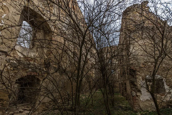 Bewachsener Hof Eines Alten Schlosses Mit Bäumen — Stockfoto