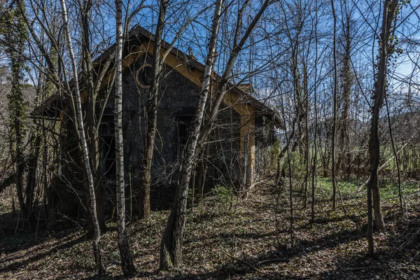 Verlassenes Haus Mit Bäumen Wald — Stockfoto