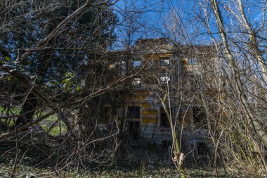 Ormandaki eski harabeye dönmüş sarı bir ev.