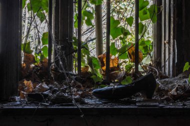 Pencere pervazında eski bir ayakkabı ve eski bir evde bitkiler