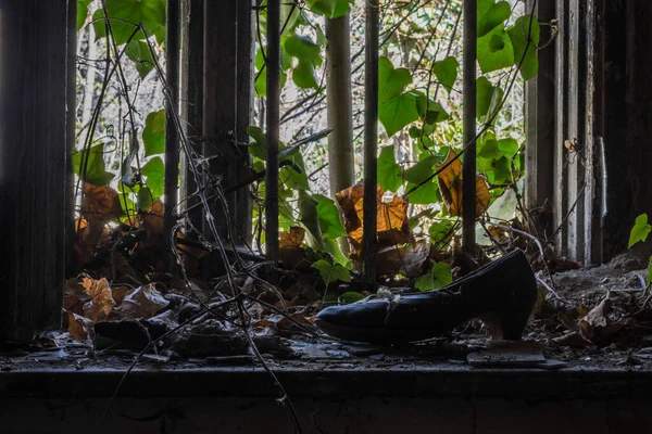 Sapato Velho Peitoril Janela Com Plantas Uma Casa Velha — Fotografia de Stock