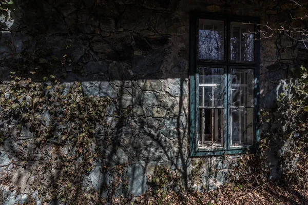 森の中の家の石造りのファサード — ストック写真