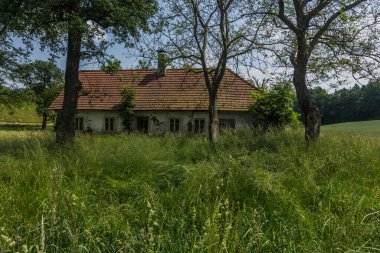 Doğada terk edilmiş eski bir ev, kırsalda yüksek otlar.