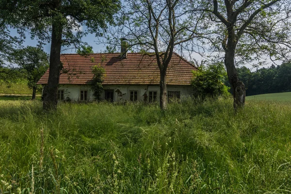 Casa Velha Abandonada Natureza Com Grama Alta Campo — Fotografia de Stock