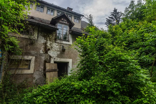 Arbustos Altos Árvores Perto Casa Velha Floresta — Fotografia de Stock