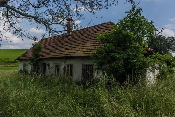 Oud Overwoekerd Huis Natuur Met Gras Bomen Het Platteland — Stockfoto