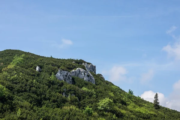 Rocher Aux Plantes Vertes Dans Les Montagnes Ciel Bleu — Photo