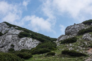 Mavi gökyüzü ve dağlarda alçak çalılı kayalar.