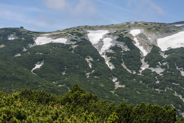 Berg Mit Schnee Und Grünen Pflanzen Sommer Beim Wandern — Stockfoto