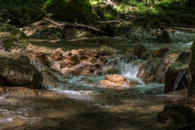 Yazın doğa yürüyüşü yaparken kayalarla dolu bir dere.